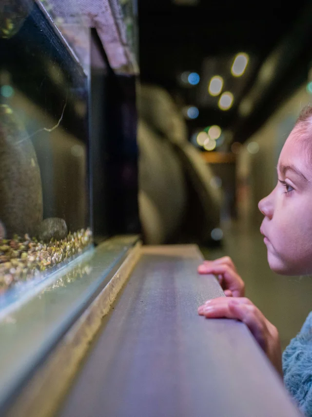 Sou Marais exhibition