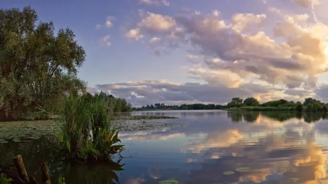 4.rnn Romelaere 05.02.23