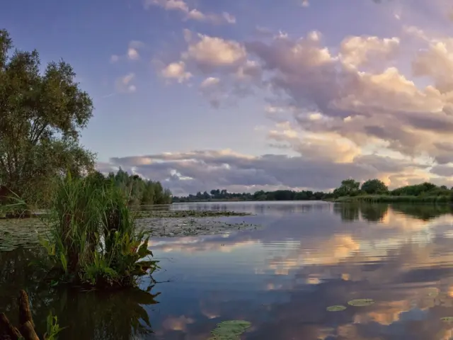 Réserve naturelle nationale des étangs du Romelaëre à Clairmarais, par Eden62 (rnn Romelaere 05.02.23).