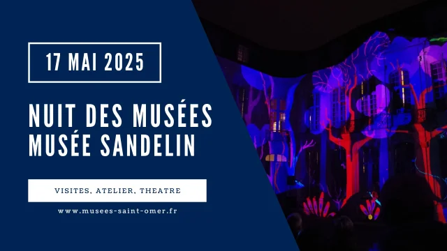 17 Mai Nuit Des Musees Musee Sandelin