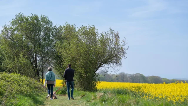 4 Sentier De Randonnee Tourisme En Pays De Saint Omer