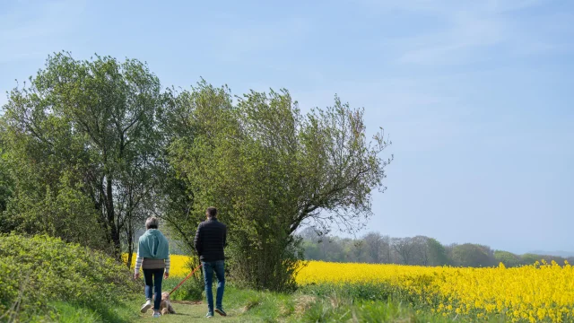 4 Sentier De Randonnee Tourisme En Pays De Saint Omer