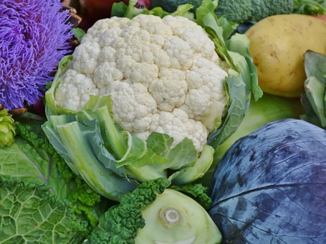 Vegetables Cabbage Potato Artichoke Photo D Illustration Non Contractuelle Dr