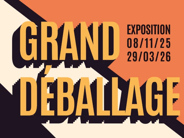 Bandeau Réseaux exposition Grand Déballage au Musée Sandelin de Saint-Omer