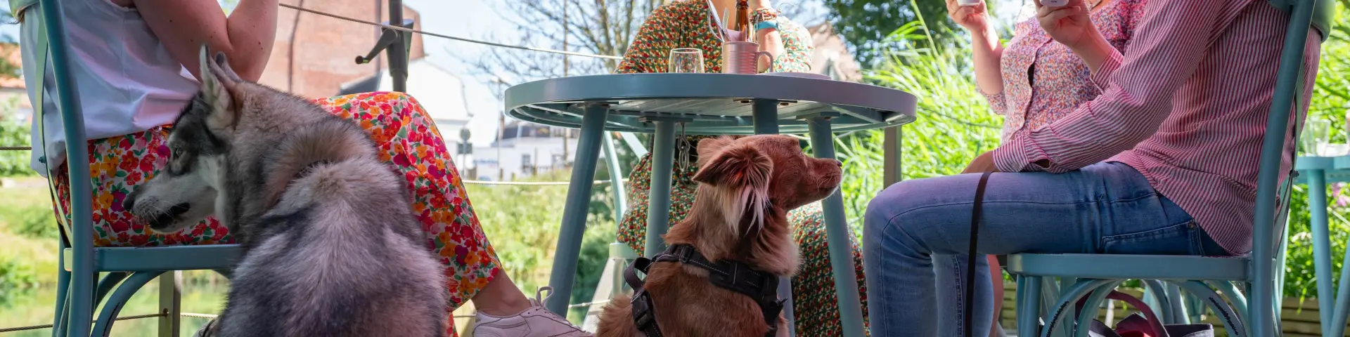 Toutourisme à la Maison du Marais