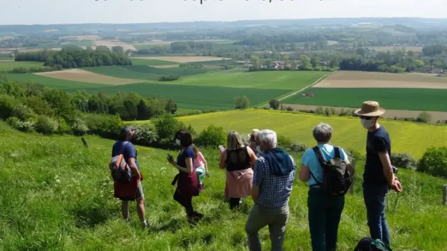Balades Natures Gratuites 40 Ans Du Pnr