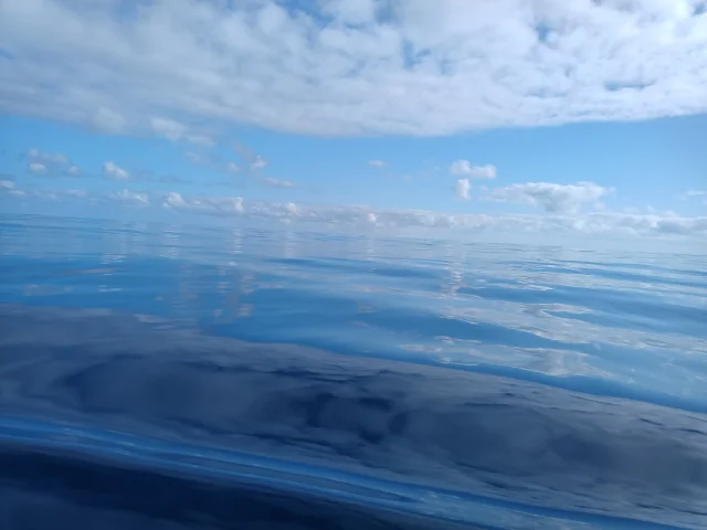 Img 20240529 194841 121