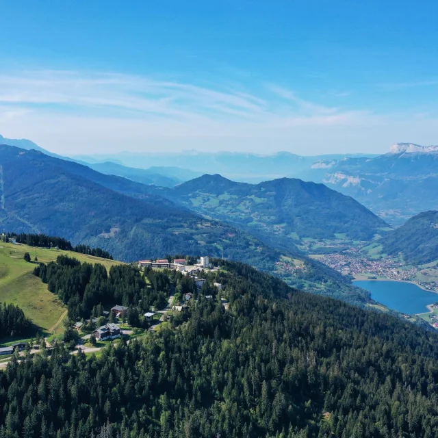 Collet landscape 2019