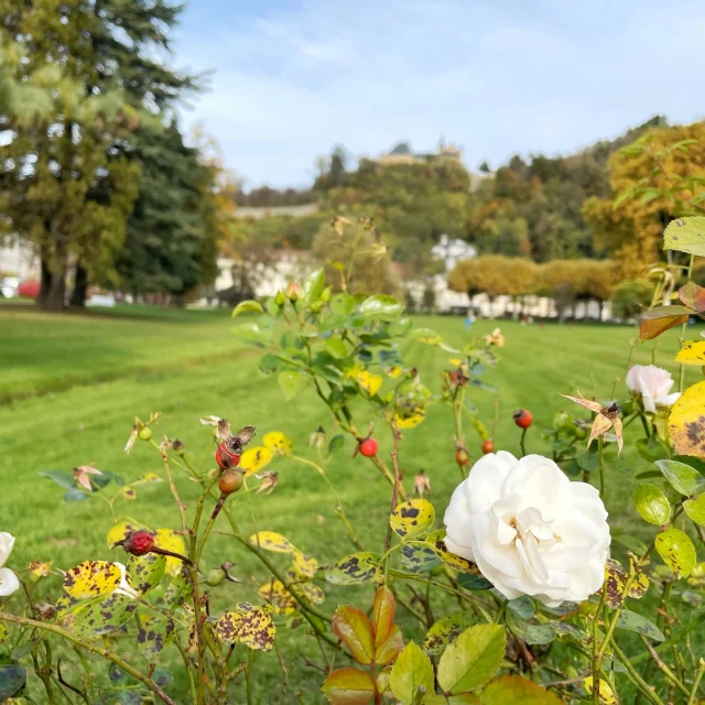 Parc d'Uriage en fleurs- Celia T