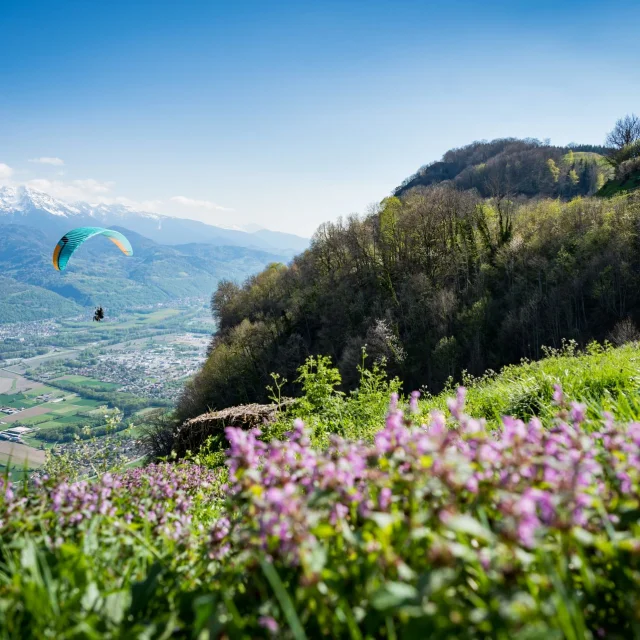 Plateau des Petites Roches - Paragliding - Landscape -Bruno Lavit
