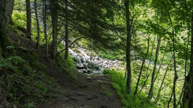 Paysage Cascade De L'Oursière Uriage Marie El Hajal