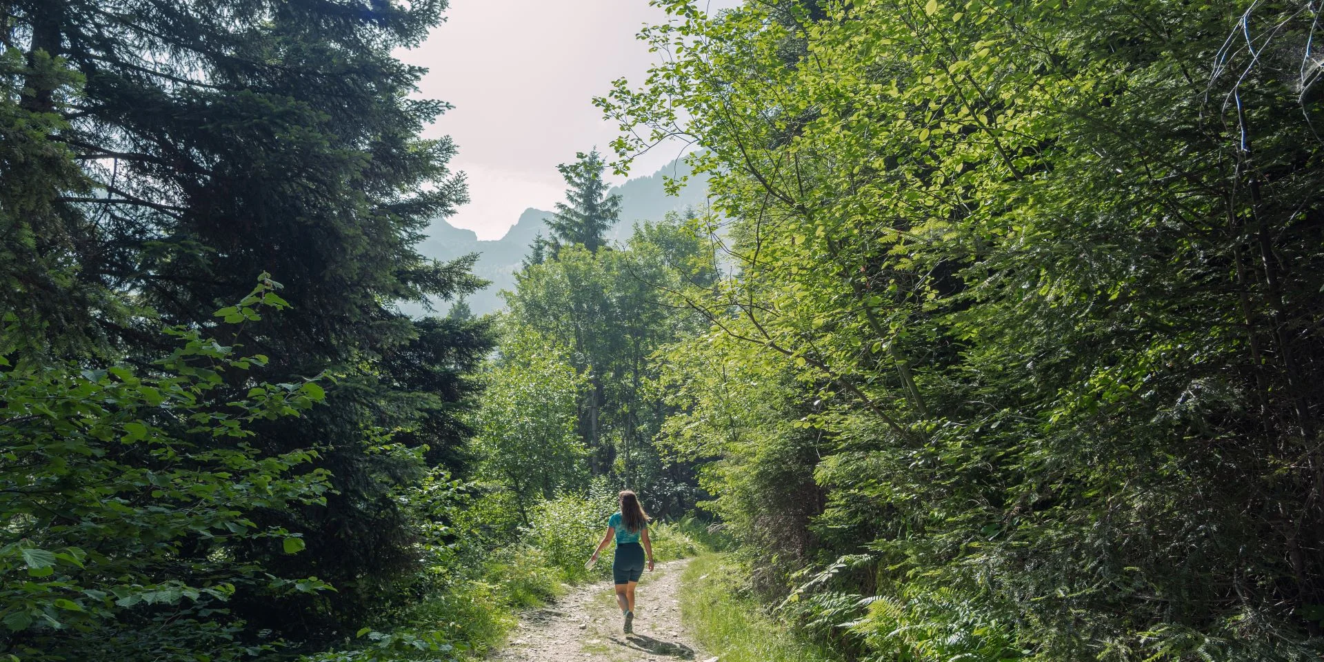 Paysage de randonnée - Cascade De Loursiere - Uriage -Marie El Hajal