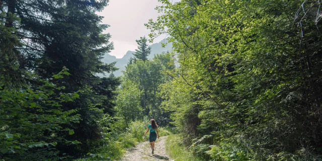 Paysage de randonnée - Cascade De Loursiere - Uriage -Marie El Hajal