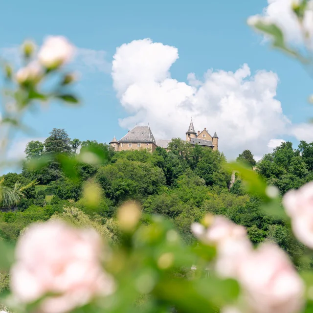 Uriage Paysage Château et Fleurs - Marie El Hajal