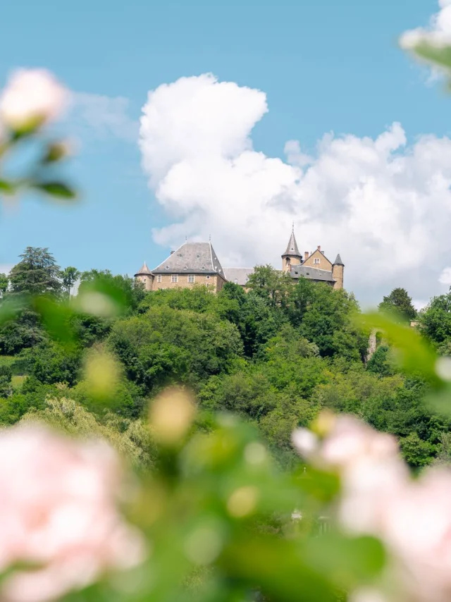 Uriage Paysage Château et Fleurs - Marie El Hajal