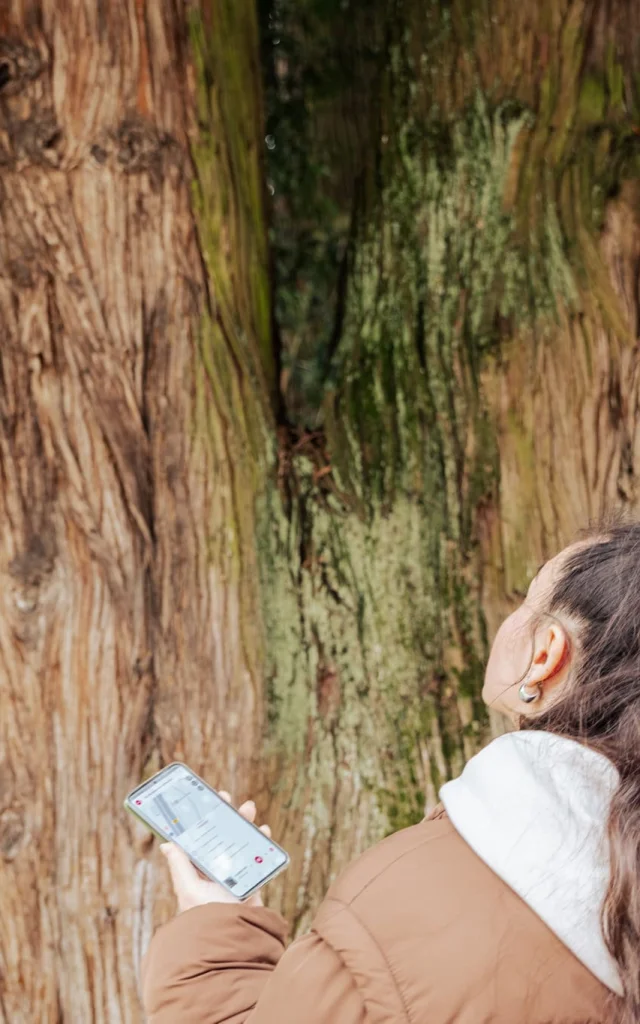 Mobile application - Visit Uriage - Marie El Hajal