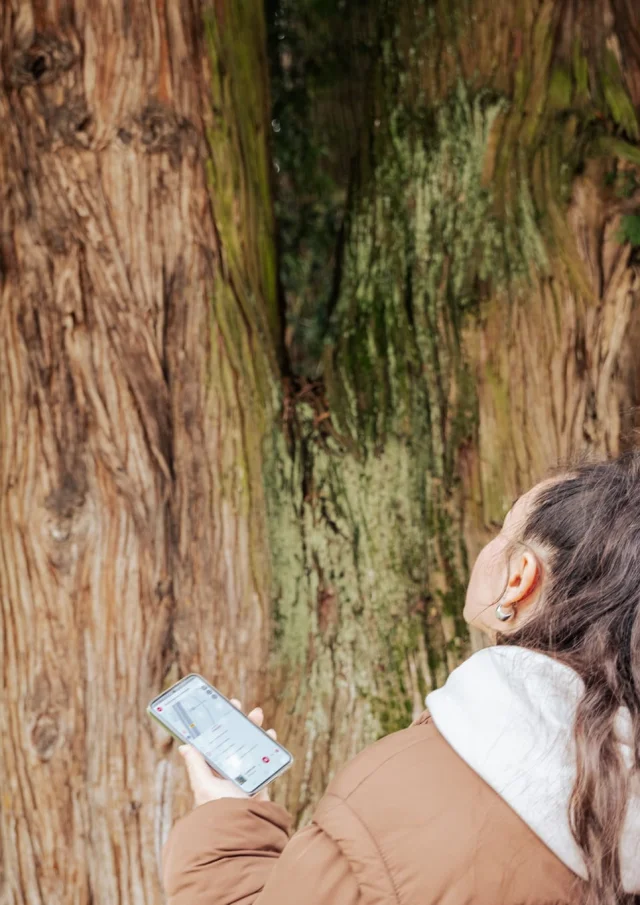 Mobiele toepassing - Bezoek Uriage - Marie El Hajal