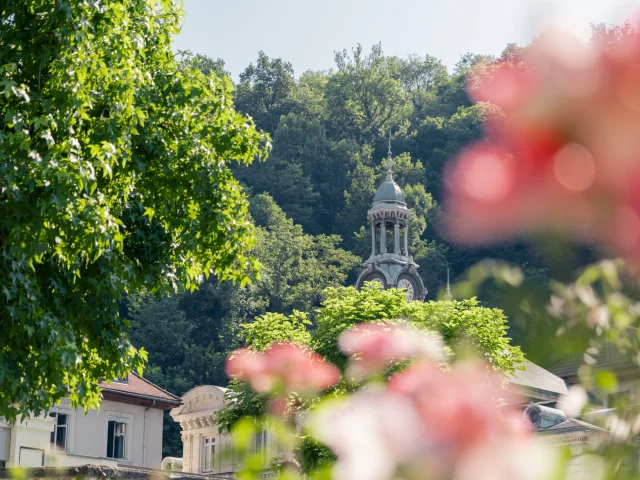 Ville d'Uriage in bloom - Marie El Hajal