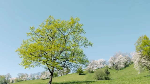 Randonnée à Uriage - 2025 - Marie El Hajal