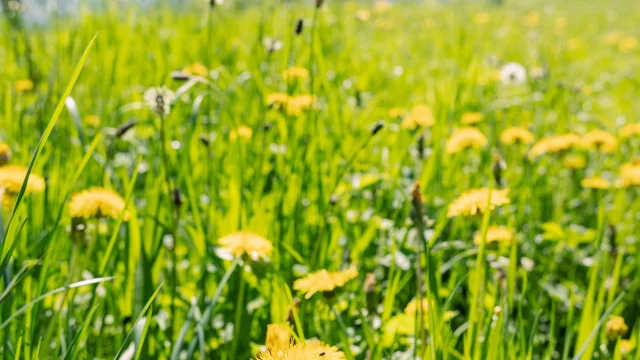 Randonnée Uriage - 2025 - Marie El Hajal