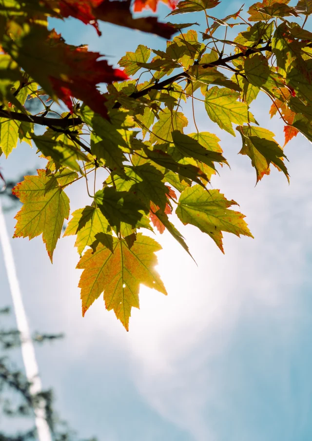 Ville Uriage 29092025 Marie El Hajal 19