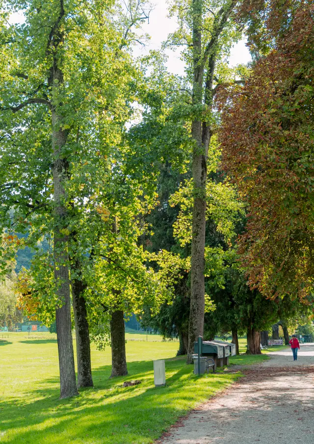 Ville d'Uriage - 2025 - Marie El Hajal