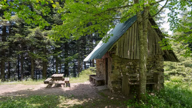 Cabane dans la forêt