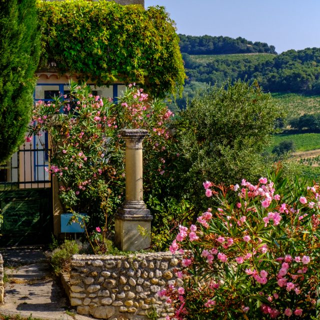 Village vigneron de Rasteau.