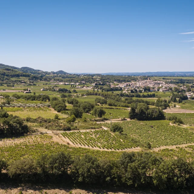 Vue Seguret Drone