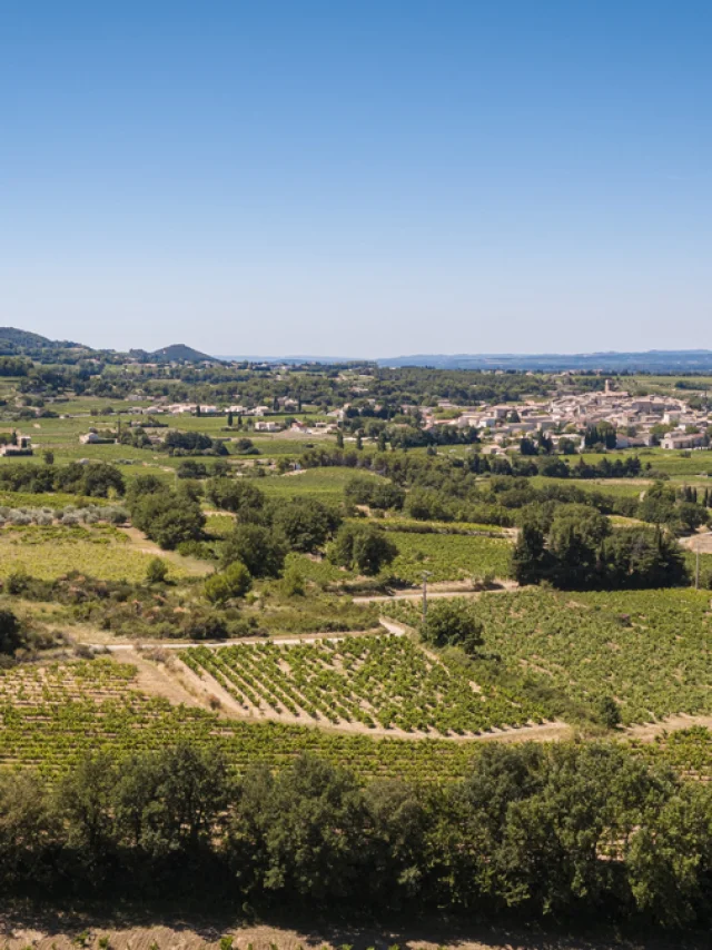 Seguret Drone weergave