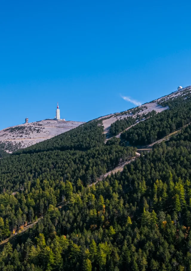 Vue Ventoux Drone