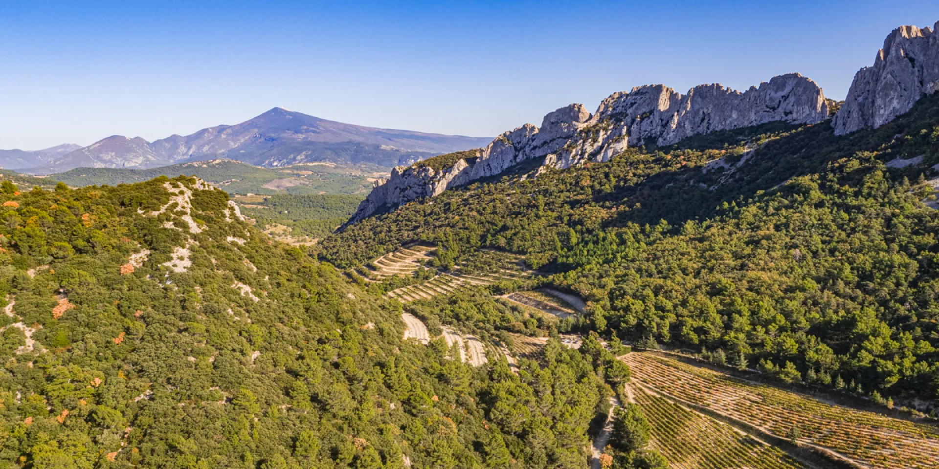 Vue Dentelles Drone