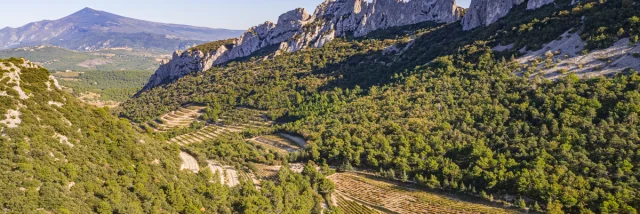 View of the Dentelles de Montmirail