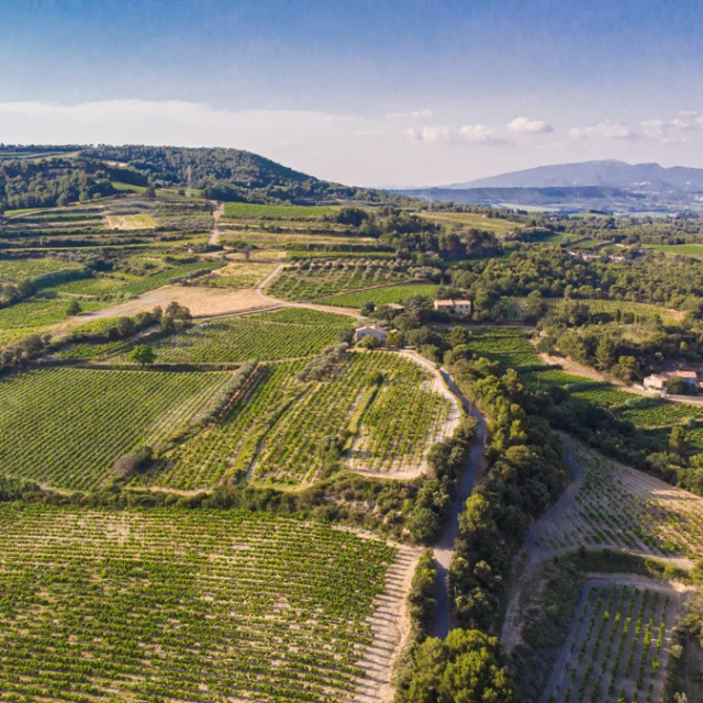 Vue sur les vignobles