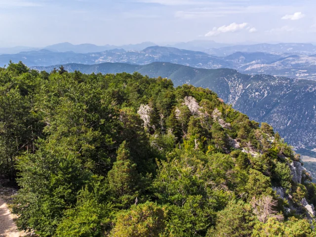Ventoux drone