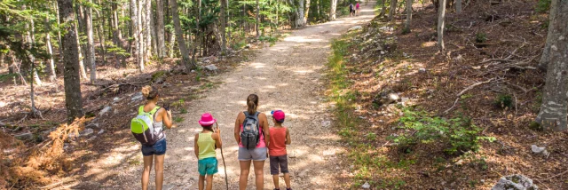 Hiking in the Ventoux