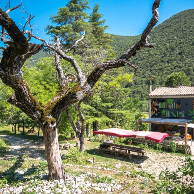 © Dorian VENZI - Le jardin singulier - Saint-Léger-du-Ventoux