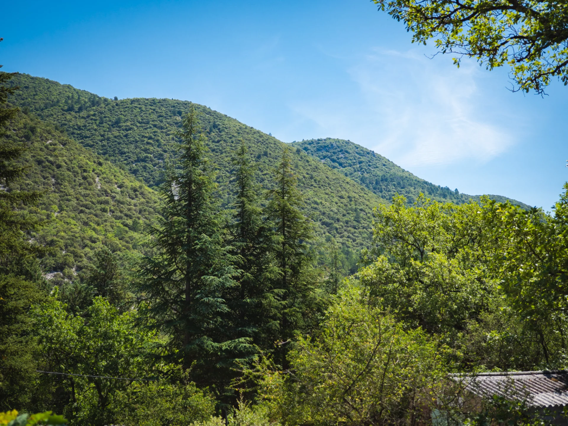 Dorian VENZI - Der einzigartige Garten - Saint-Léger-du-Ventoux