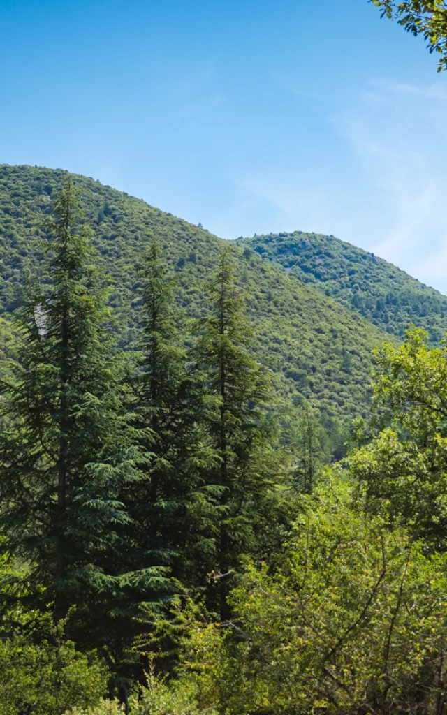 © Dorian VENZI - Le jardin singulier - Saint-Léger-du-Ventoux