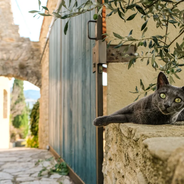 village. de Faucon