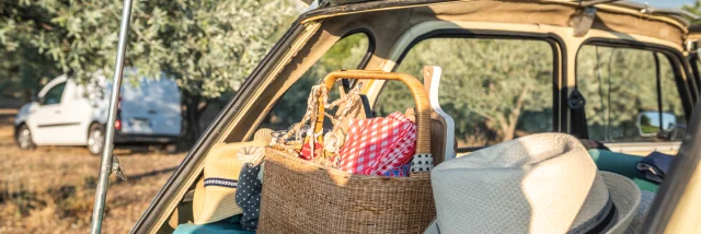 Apéro perché Youpi Tours auf dem Weingut La Fille des Vignes zum Abschied von Marine