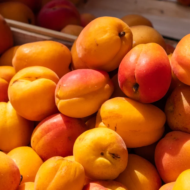 Marche Vaison La Romaine - abricots