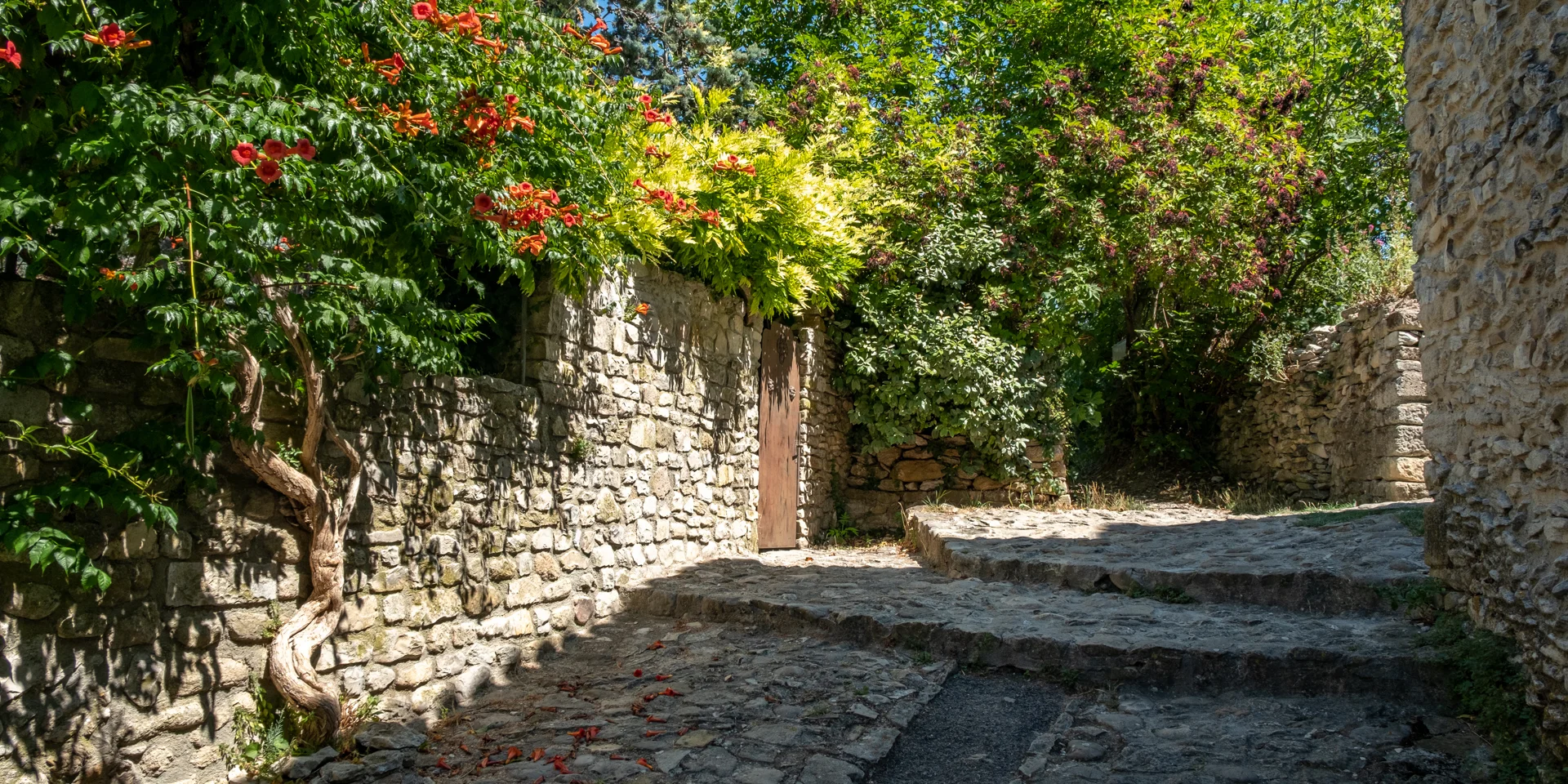 Vaison-la-Romaine Oberstadt
