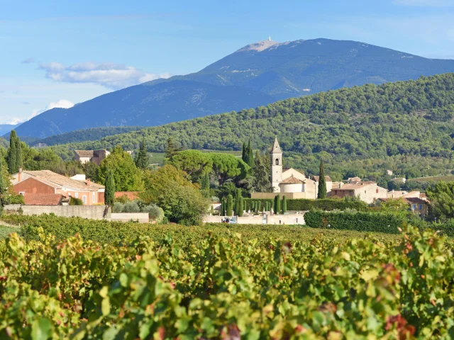 Blick auf das Dorf Roaix