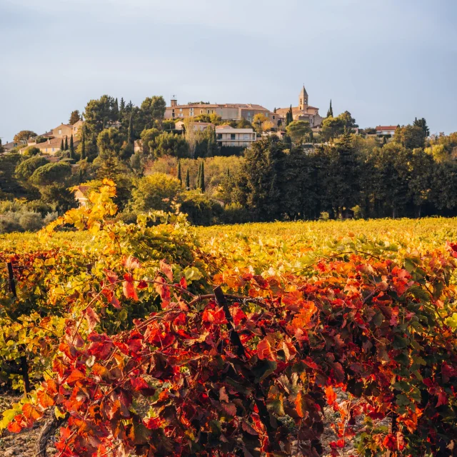 Dorf Cairanne im Herbst