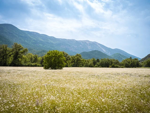 2023 06 16 Dv Ventoux Toulourenc 13