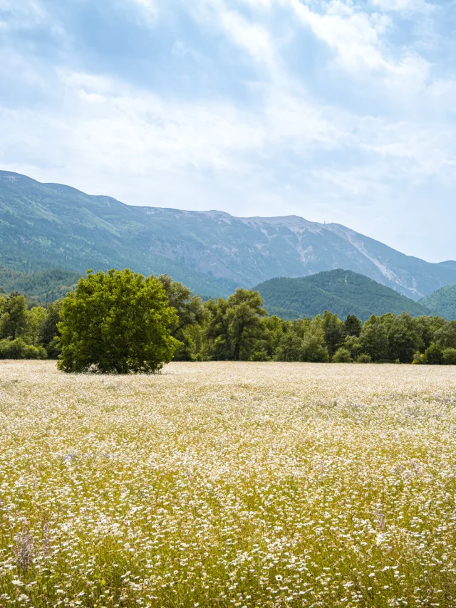 2023 06 16 Dv Ventoux Toulourenc 13