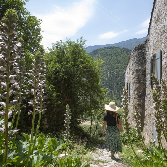 Village de Brantes au printemps
