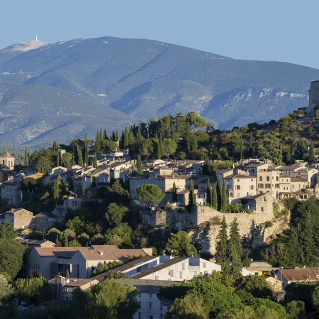 vap concept vaison la romaine Local beer 'FLYA' – Packaging Of The World main image 1