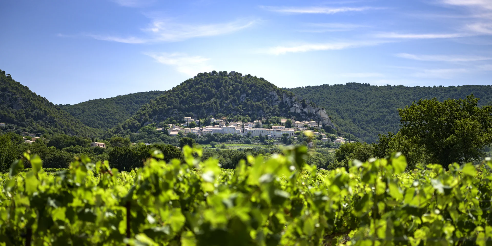 Seguret village in spring
